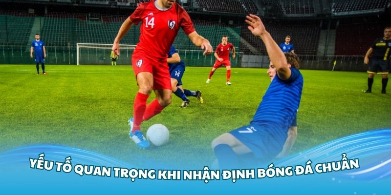 Các yếu tố quan trọng khi nhận định bóng đá chuẩn