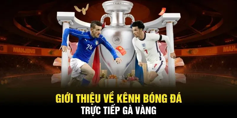 Giới thiệu trang web xem bóng đá trực tiếp Gavangtv