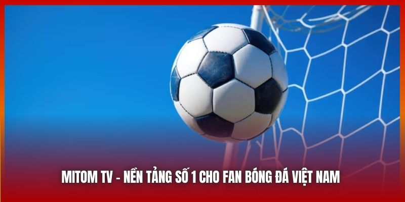 Mitom TV | Nền Tảng Trực Tuyến Số 1 Cho Fan Bóng Đá Việt Nam