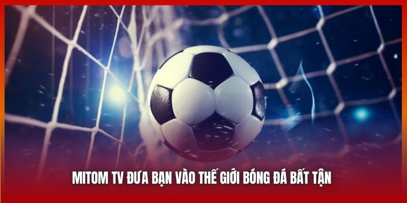 Mitom TV đưa bạn vào thế giới bóng đá bất tận 